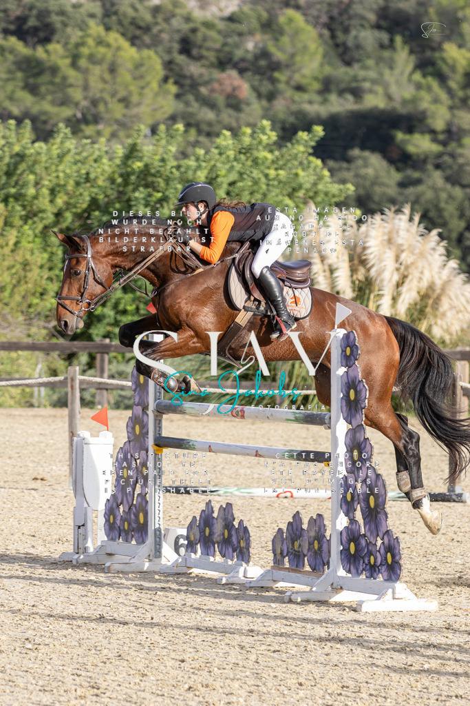 IMG_4930 | s-jay-photography - Realisiert mit Pictrs.com