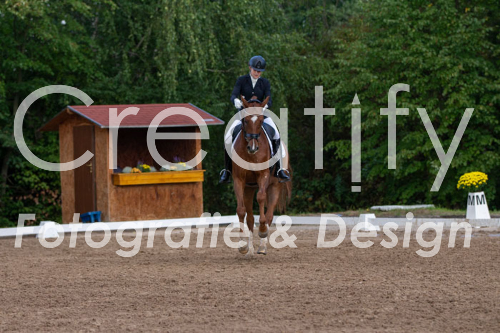 IMG_4212 | Creatify Fotografie