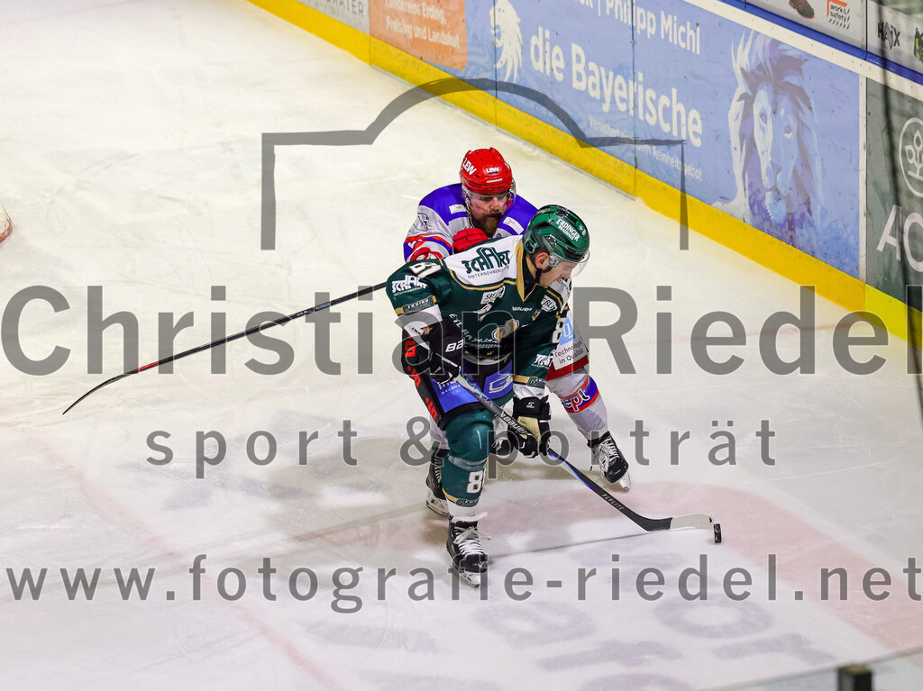 2026-02-15_048_TSV_Erding_gegen_EC_Peiting | Erding, Deutschland, 15.02.2026:Eishockey, Oberliga Süd 2025 / 2026, 47. Spieltag, TSV Erding gegen EC Peiting, Endergebnis: 4:5Maximilian Forster (Erding Gladiators, #81)Foto: Christian Riedel / fotografie-riedel.net