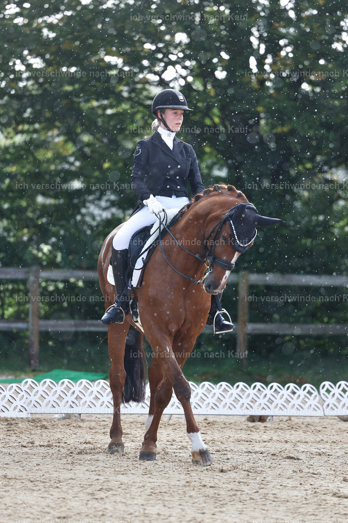 10-061-ST.GEORG SPECIAL -StoibPH-3150 | working equitationturnier fotograf videograf stoibphotography marixx film working equitation deutschland reitsport turnierfotografie eventfotografie equestrian events