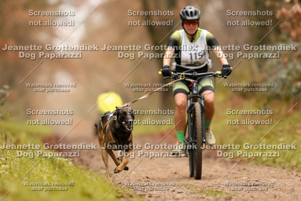 Dog Paparazzi - Speedhunter Mannheim  2025-314 | Dog Paparazzi Jeanette Grottendiek Fotografie & Videografie