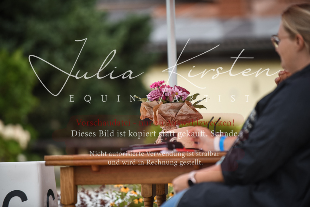 DSC_8025 | Pferde- und Turnierfotografie in Westsachsen. Pferdeportraits, Auftragszeichnungen und intuitive Kunst.