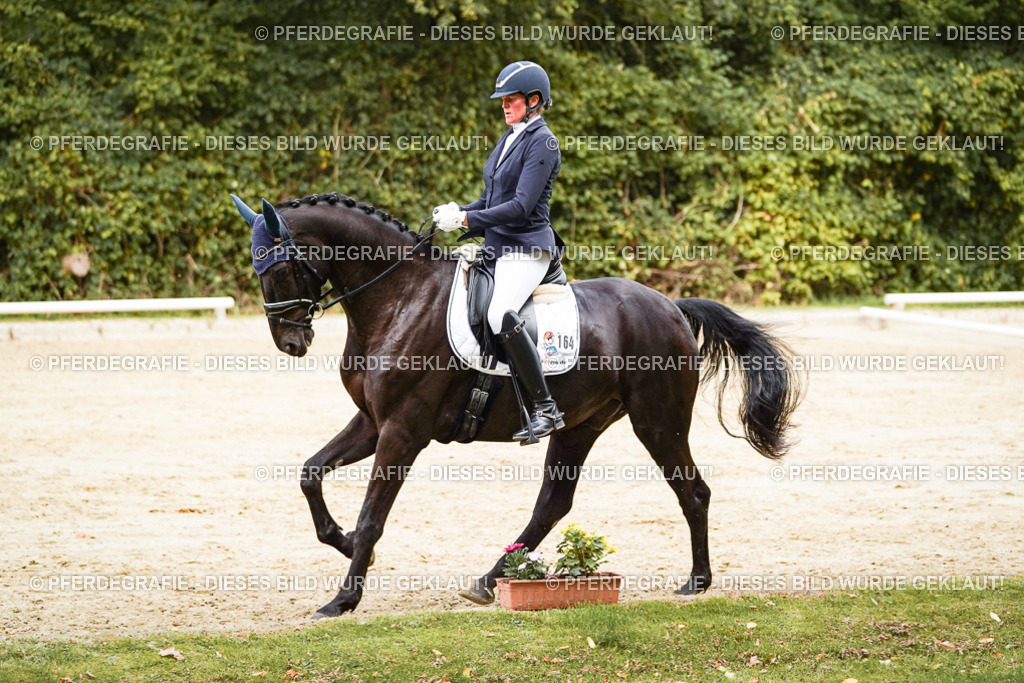 DSC01106 | Pferdegrafie