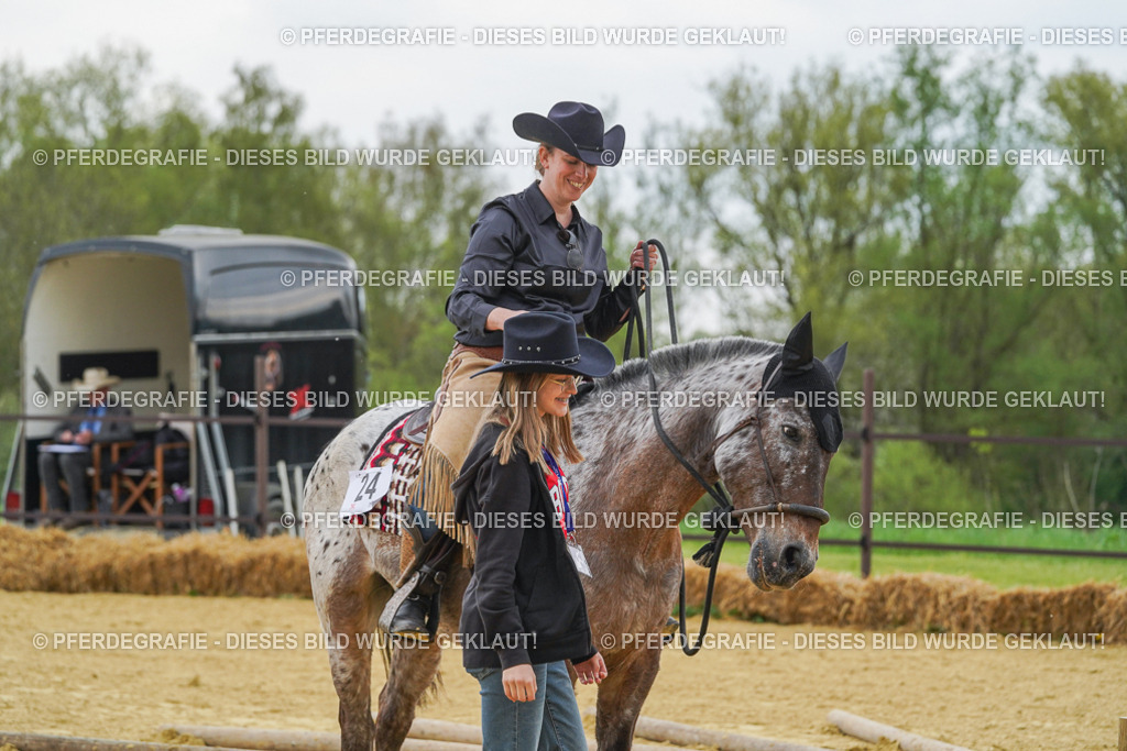 DSC07867 | Pferdegrafie