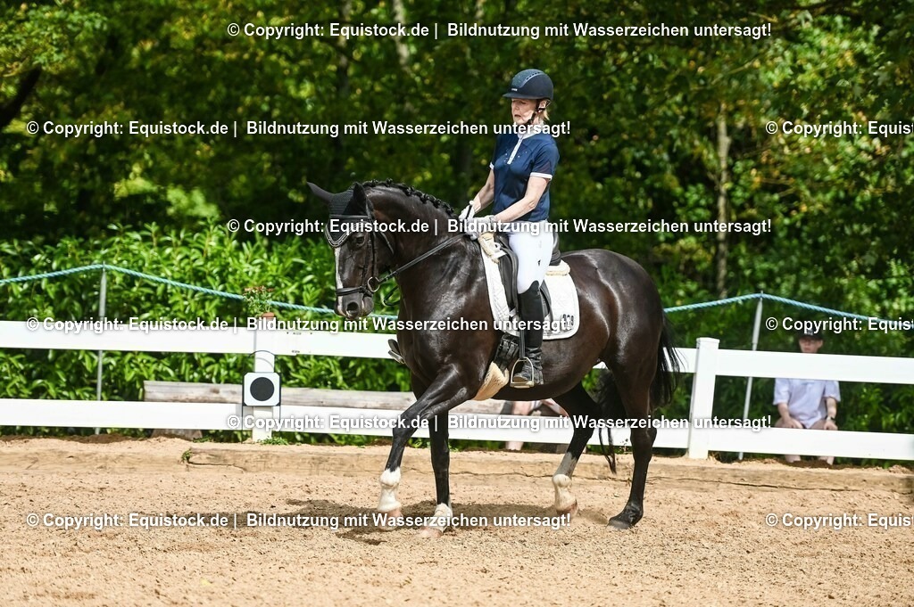 20230715_02_Dressurreiterprüfung Kl.L_0354 | equistock