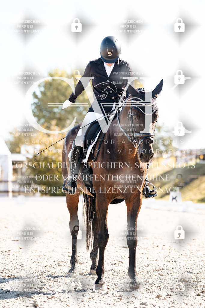 CK908754 | Turnierfotografie Pferdefotografie Trier Rheinland-Pfalz Pferdesport Reitsport Tierfotografie Sportfotografie Pferdevideo Pferdevideografie Equestrianvideography equestrianphotography  - Realisiert mit Pictrs.com