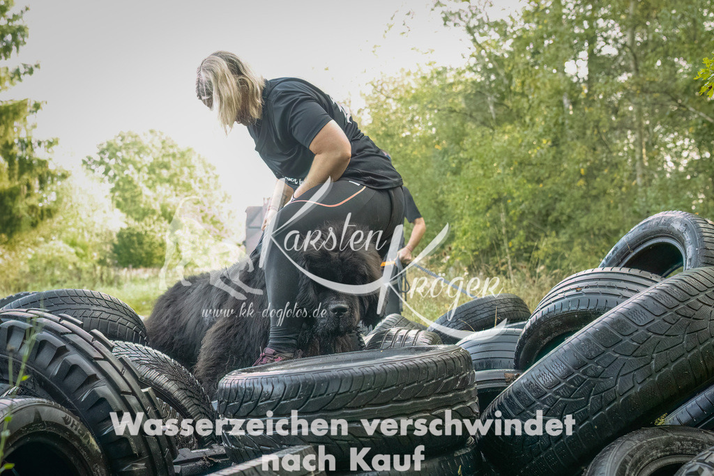 1044_ZZ90325-Bearbeitet | kk-dogfotos