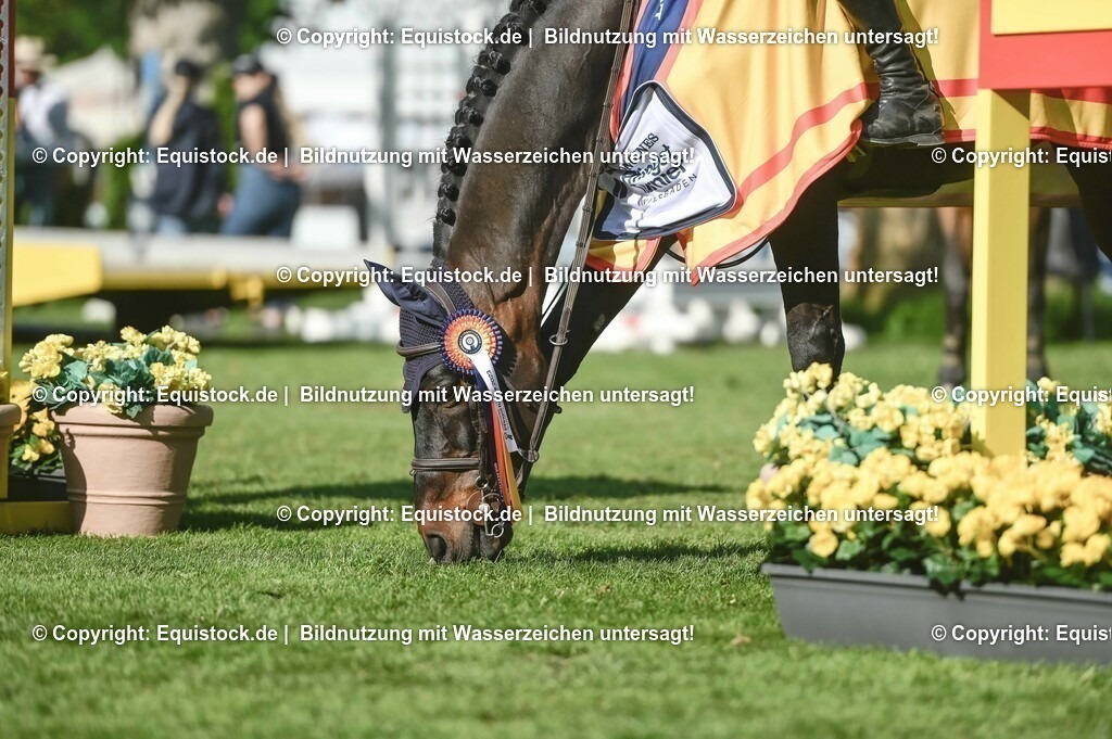 20230527_14_CSI4_Lotto-Hessen-Preis_0212 | equistock