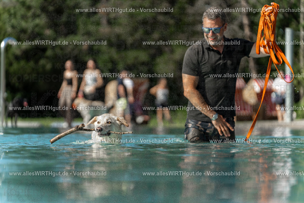 Hundeschwimmen_Volksbad_2026-allesWIRTHgut_Tierfotografie-2609061545-7R501816 | Professionelle Tierfotografie in Mönchengladbach von Daniel Wirth (allesWIRTHgut). Liebevolle & natürliche Bilder von Hunden & Katzen für unvergessliche Erinnerungen.
