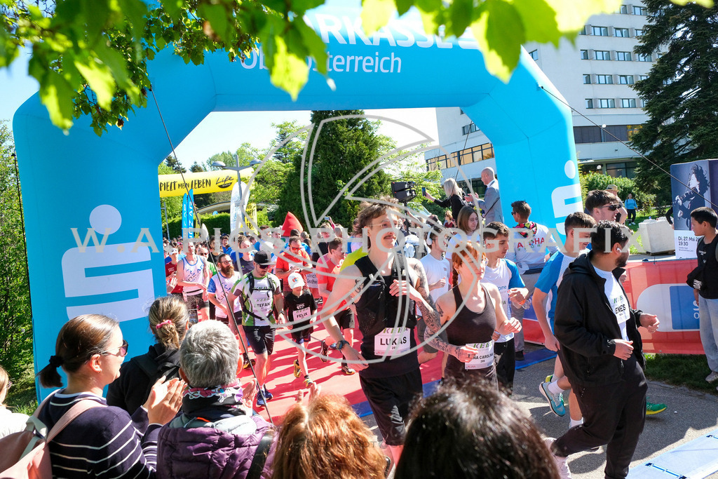 ..... | LINZ,AUSTRIA,27.April 24, Int. 3 Brückenlauf Linz  , Image shows: Photo: WAPICS / Michael ring