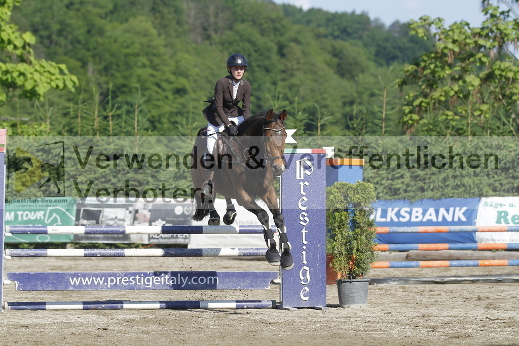 _MG_8067 | equestrian-live-com
