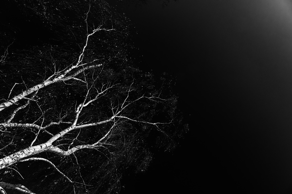 2022_12_17_HETLINGER-SCHANZE_MCP6306 sw | Hochwertig gedruckte Fotografien für die Wand, als Kalender und zum Verschenken. Hamburg & Norddeutschland und überall wo ich mit der Kamera unterwegs war.