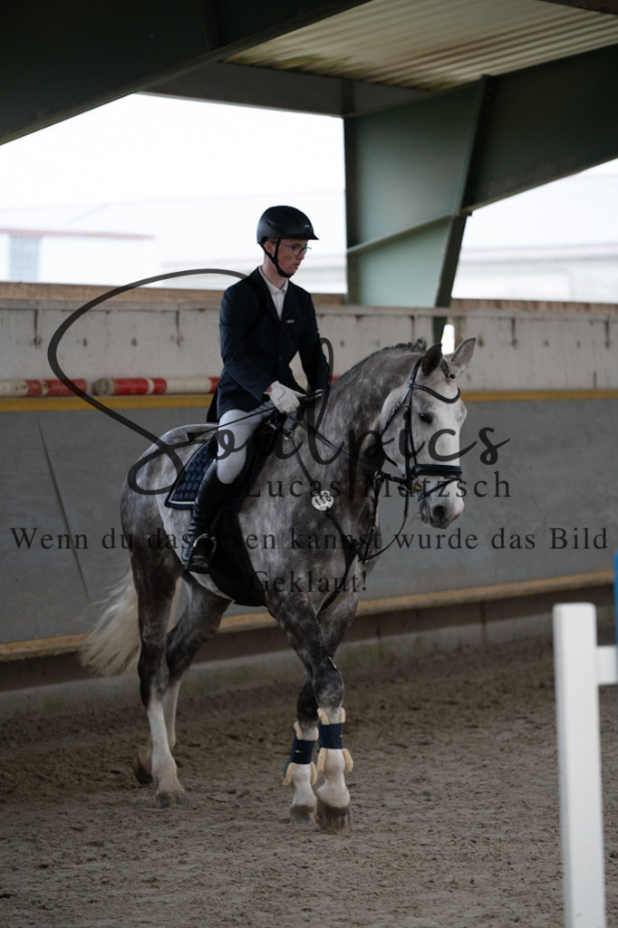 A7V07081 | Pferdefotograf