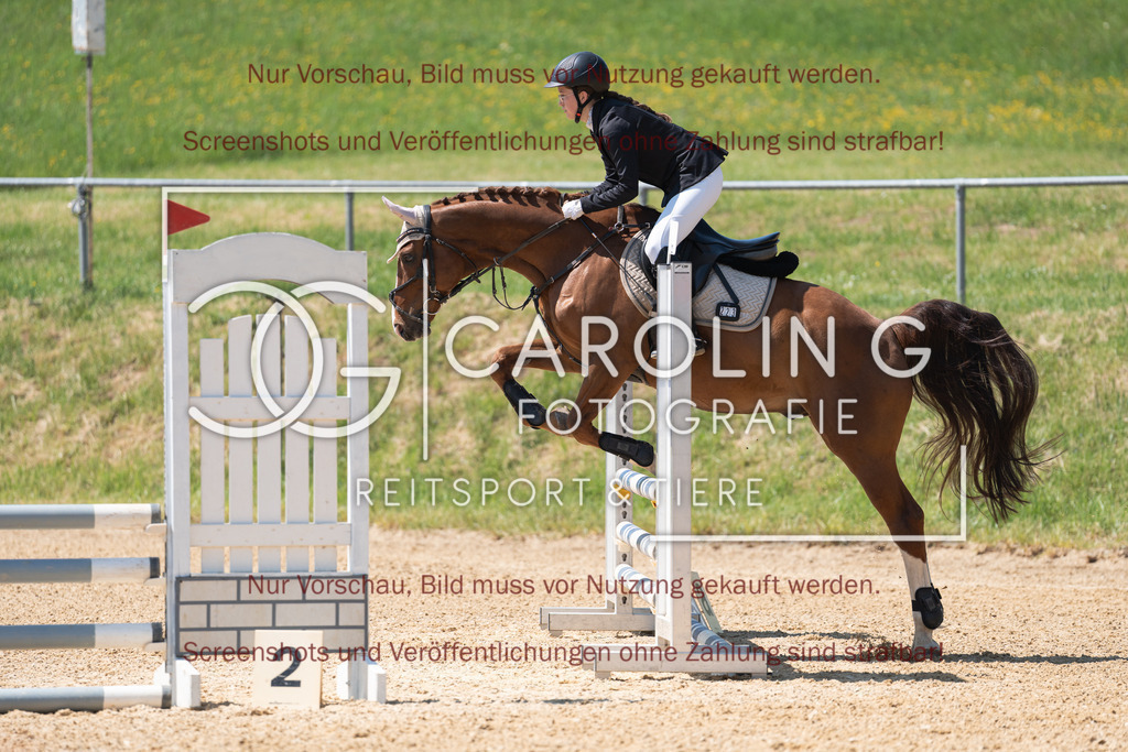 DSC04326 | Springturnier_Ehingen_Mai_2026, Hanna_Zivkovic, Belissimos_Pleasure_T