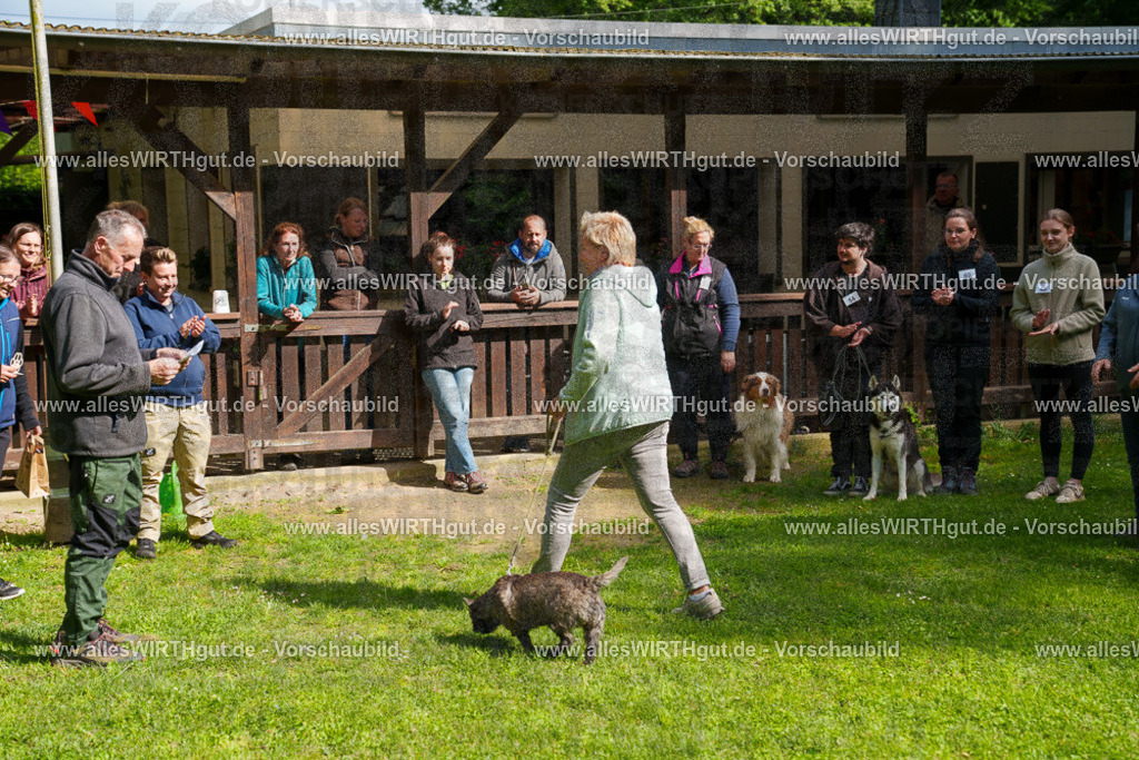 @allesWIRTHgut_Tierfotografie - www.allesWIRTHgut.de - 7R502181 | Professionelle Tierfotografie in Mönchengladbach von Daniel Wirth (allesWIRTHgut). Liebevolle & natürliche Bilder von Hunden & Katzen für unvergessliche Erinnerungen.