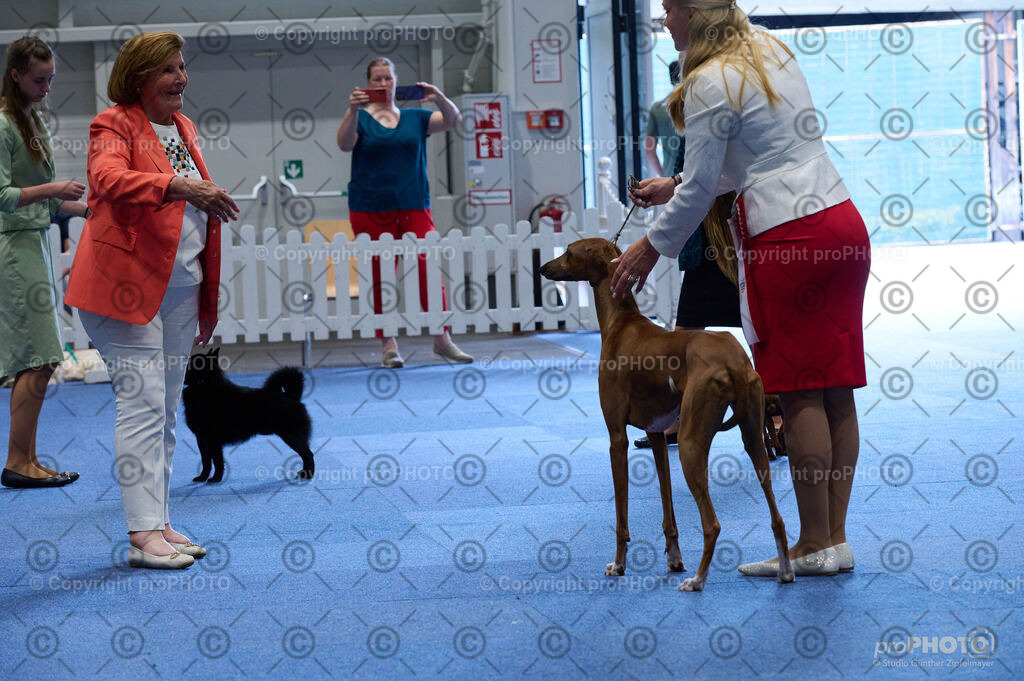 202406_ÖKV-IHA-Tulln24_DSC_5356 | proPHOTO - Realisiert mit Pictrs.com