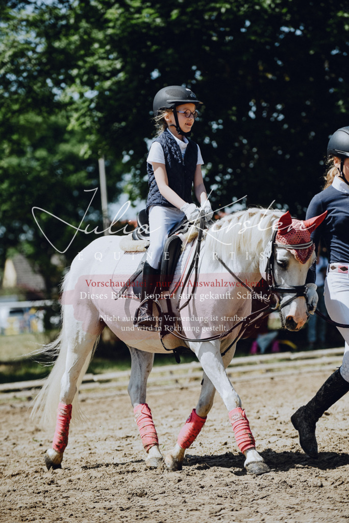 DSC_2557 | Pferde- und Turnierfotografie in Westsachsen. Pferdeportraits, Auftragszeichnungen und intuitive Kunst.