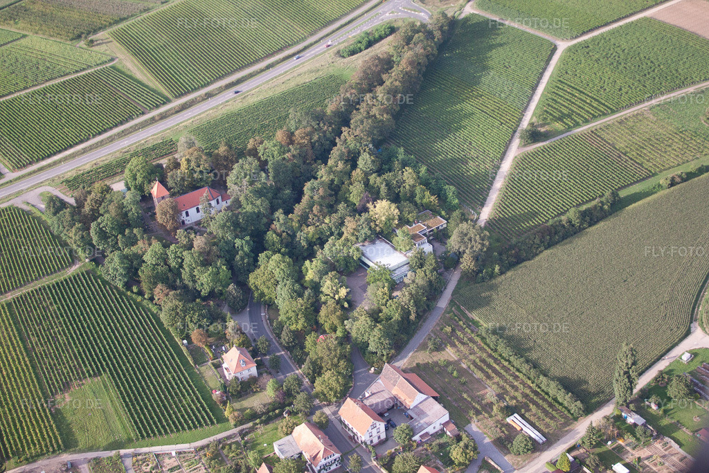 Luftbild: Firmengelände der SEKA Schutzbelüftung GmbH mit Hallen, Firmengebäuden und Produktionsstätten im Ortsteil Wollmesheim in Landau im Bundesland Rheinland-Pfalz in Deutschland. Foto: IMG_44154.jpg vom 17.08.2011 durch Werner Riehm/FLY-FOTO.deWWW.SCHUTZBELUEFTUNG.DE