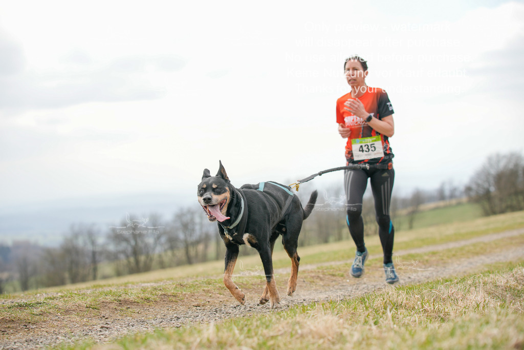 CaniXRunSA-185 | stephaniefillaphotographie - Realisiert mit Pictrs.com