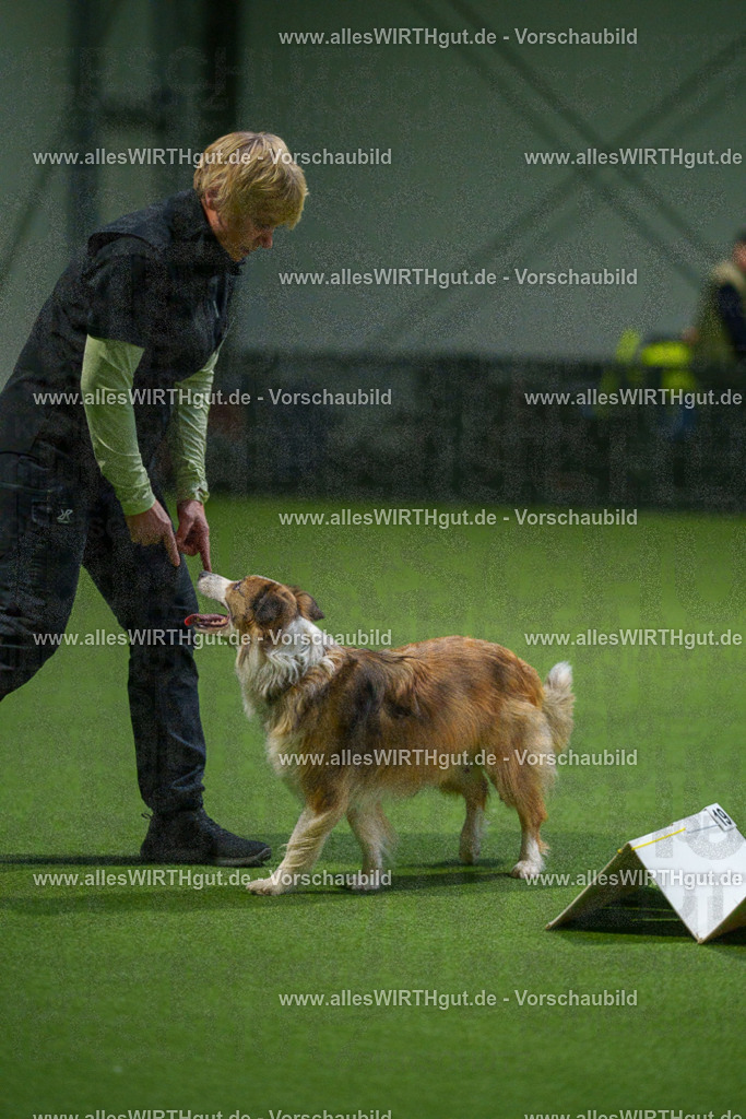 7R509758 | Professionelle Tierfotografie in Mönchengladbach von Daniel Wirth (allesWIRTHgut). Liebevolle & natürliche Bilder von Hunden & Katzen für unvergessliche Erinnerungen.