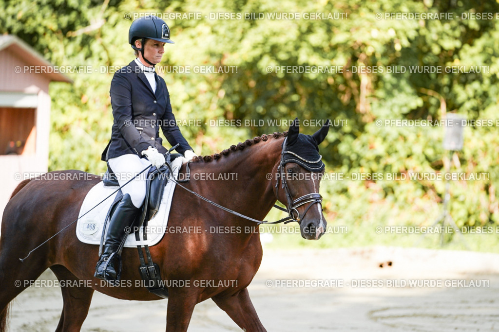 DSC06988 | Pferdegrafie