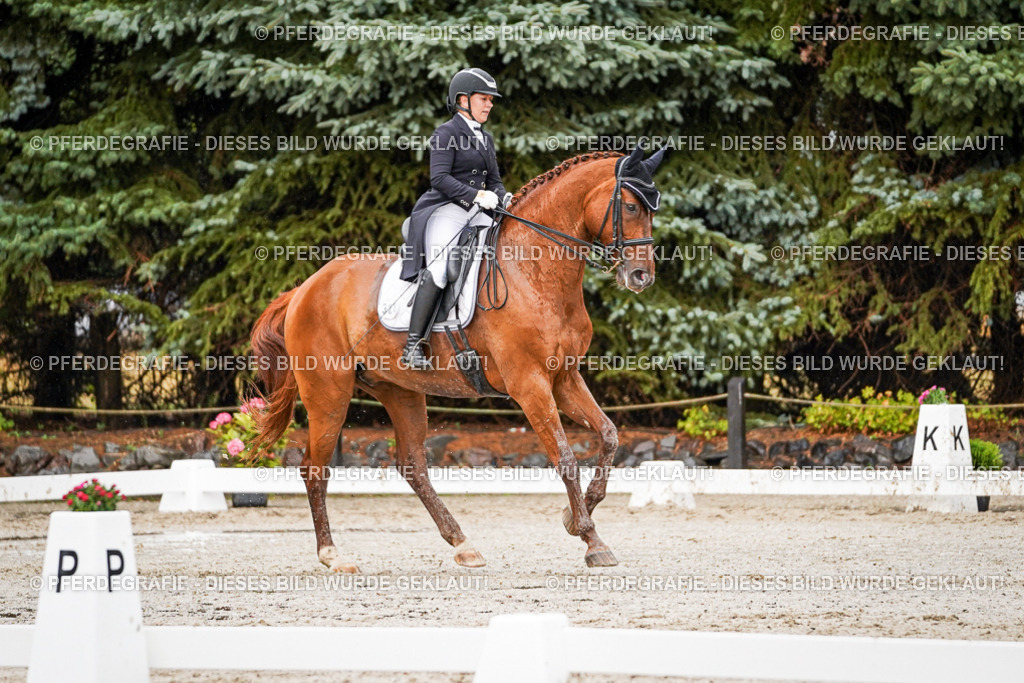 DSC09595 | Pferdegrafie