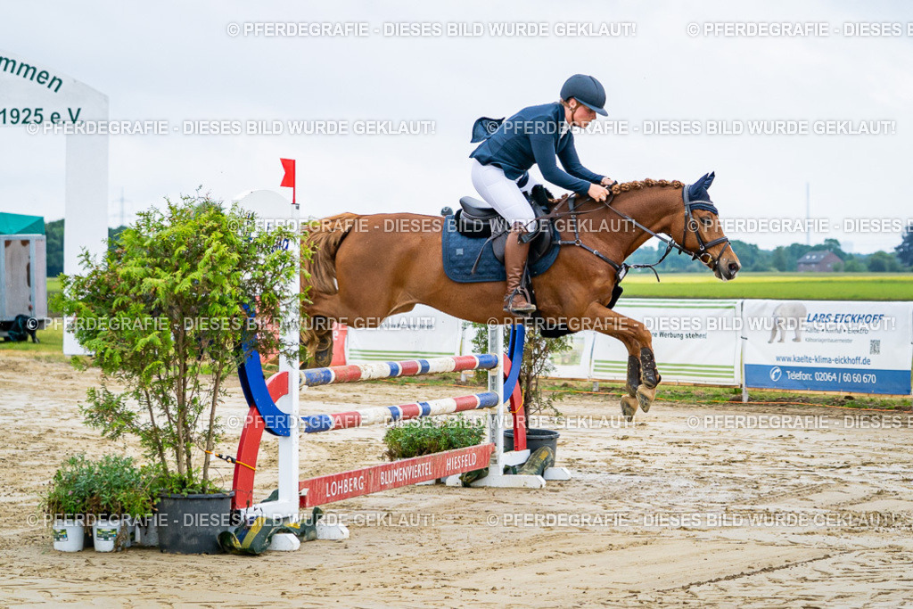 DSC01745 | Pferdegrafie