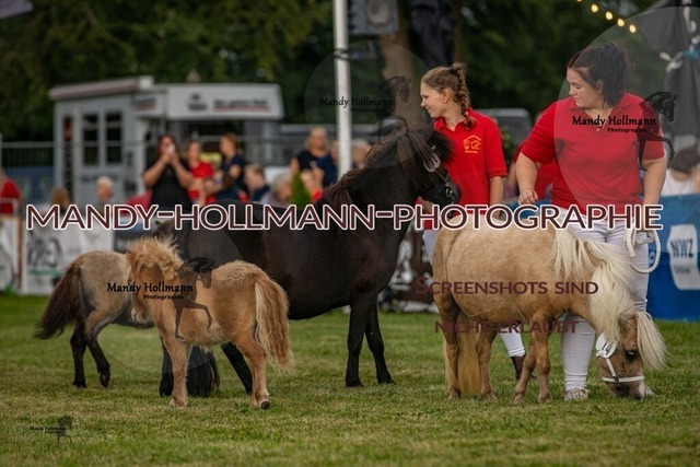 LTN 2024 (496) | mandyhollmannphotographie