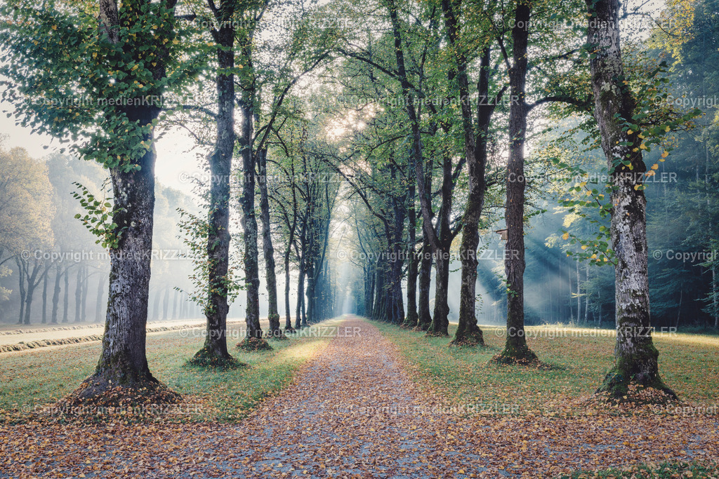 Herreninsel | medienkrizzler - Realisiert mit Pictrs.com