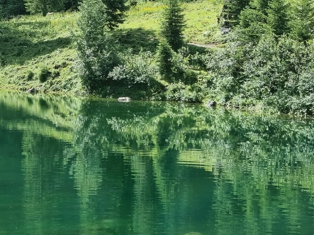 PSX_20210806_224706 | mtkfoto_ - Realisiert mit Pictrs.com