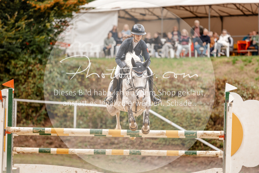 3I6A8193 | Stimmungsvolle Portraits und Reitsportfotografie im Ruhrgebiet und im Münsterland.

Pferdefotografie, Hundefotografie, Tierfotografie, Reportagen, Portraits von Tier und Mensch, Turnierfotografie in Bochum, Recklinghausen, Marl, Haltern am See, Dülmen.. - Realisiert mit Pictrs.com