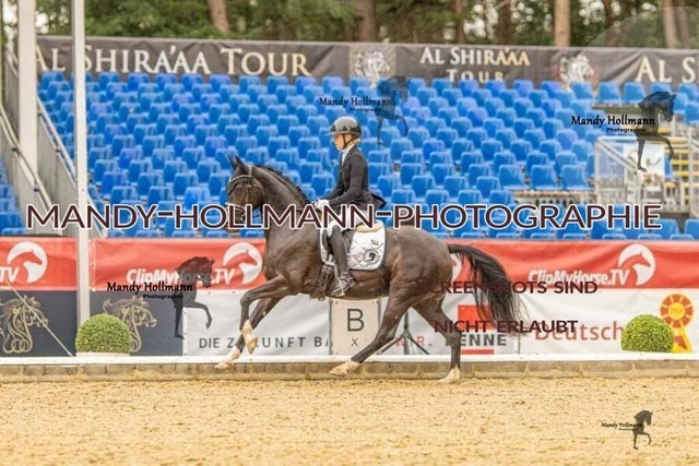 28-8-26 5j DRE-1172 | mandyhollmannphotographie