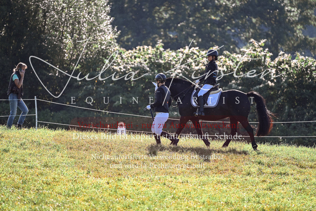 DSC_0369 | Pferde- und Turnierfotografie in Westsachsen. Pferdeportraits, Auftragszeichnungen und intuitive Kunst.