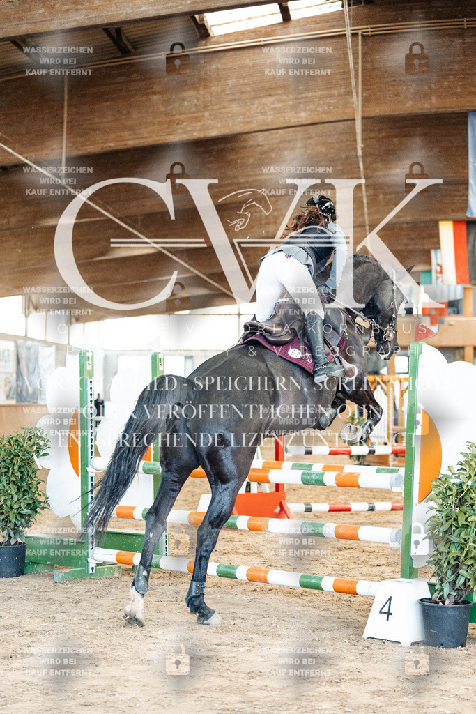 CK904912 | Turnierfotografie Pferdefotografie Trier Rheinland-Pfalz Pferdesport Reitsport Tierfotografie Sportfotografie Pferdevideo Pferdevideografie Equestrianvideography equestrianphotography  - Realized with Pictrs.com