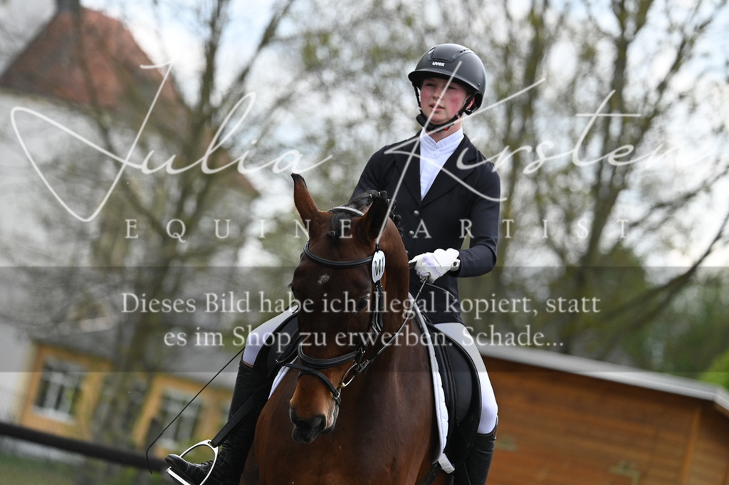 20230512_JK-Röhrsdorf-08-054 | Pferde- und Turnierfotografie in Westsachsen. Pferdeportraits, Auftragszeichnungen und intuitive Kunst.