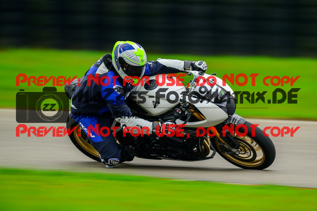 MaZZes_Fotomatrix_20241003_6007705_8413 | GRUEN