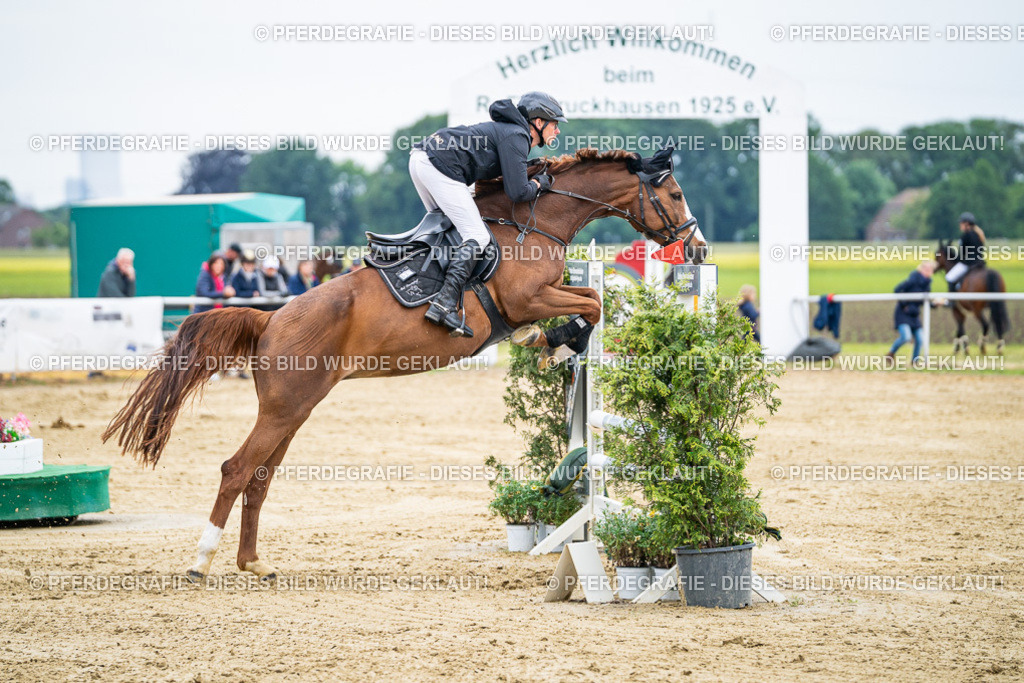 DSC06309 | Pferdegrafie