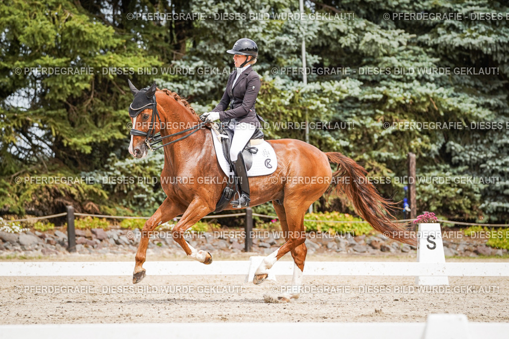 DSC05269 | Pferdegrafie