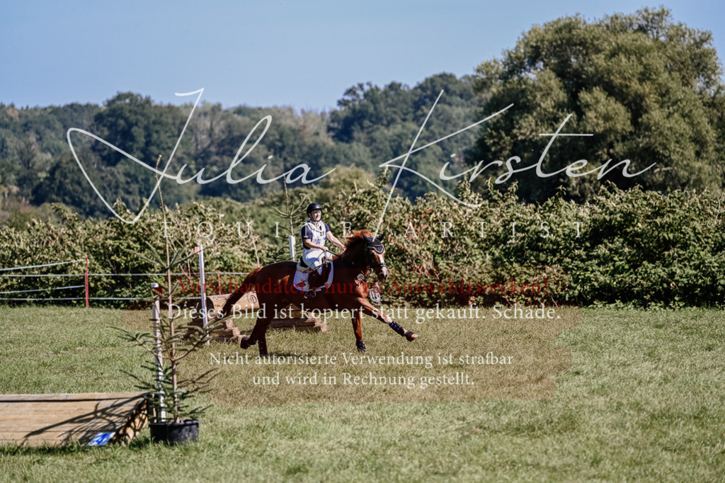 DSC_1914 | Pferde- und Turnierfotografie in Westsachsen. Pferdeportraits, Auftragszeichnungen und intuitive Kunst.