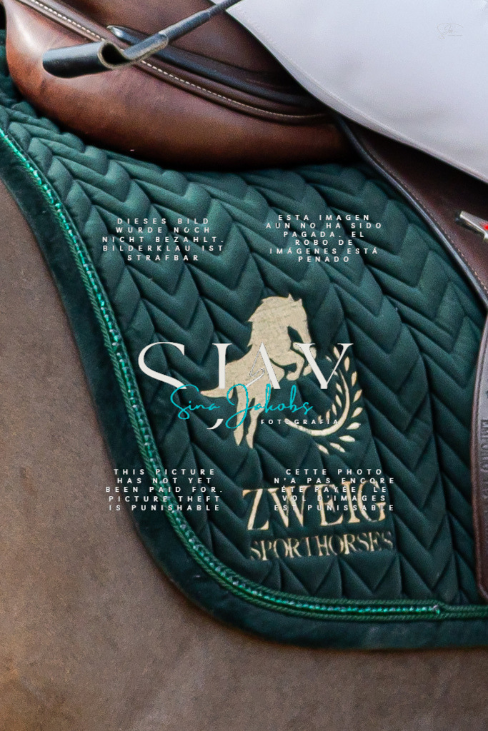 IMG_2806 | s-jay-photography - Realisiert mit Pictrs.com