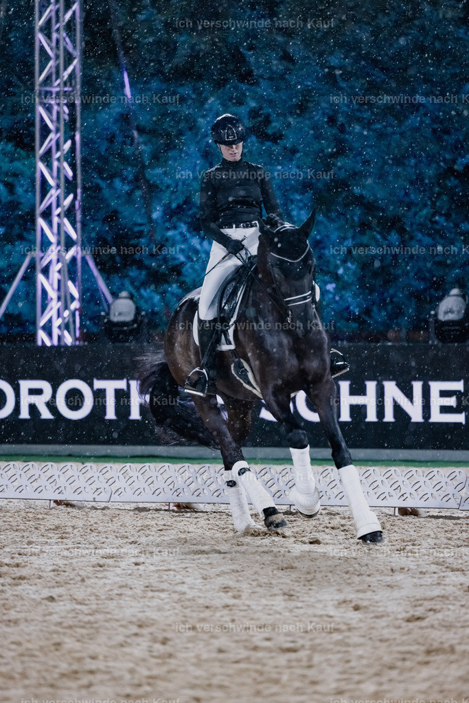 FHClassics-106 | working equitationturnier fotograf videograf stoibphotography marixx film working equitation deutschland reitsport turnierfotografie eventfotografie equestrian events