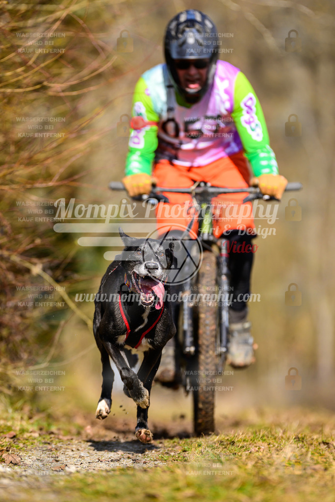 MompixPhotography_Schwabentrail2025_SO_Bike-99 | PayLife