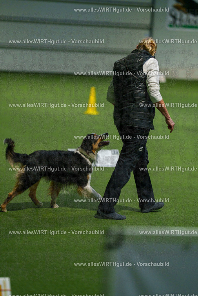 7R507556 | Professionelle Tierfotografie in Mönchengladbach von Daniel Wirth (allesWIRTHgut). Liebevolle & natürliche Bilder von Hunden & Katzen für unvergessliche Erinnerungen.