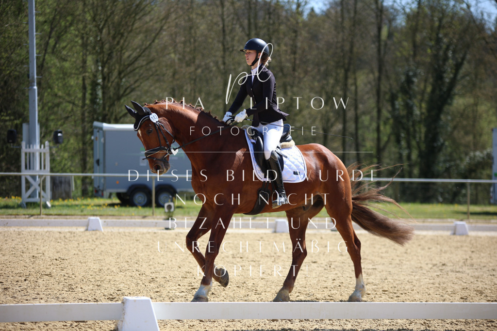 IMGT7345 | pl-fotografie