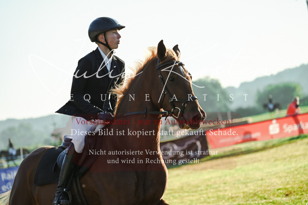 DSC_3755 | Pferde- und Turnierfotografie in Westsachsen. Pferdeportraits, Auftragszeichnungen und intuitive Kunst.