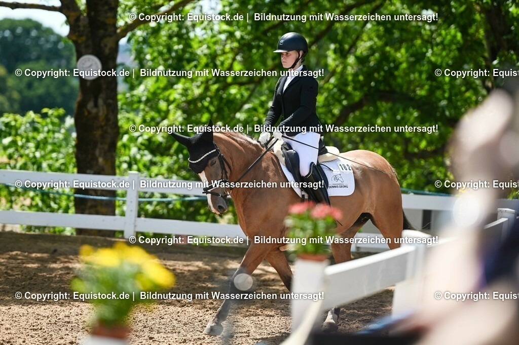 20230715_09_Dressur-WB_0313 | equistock