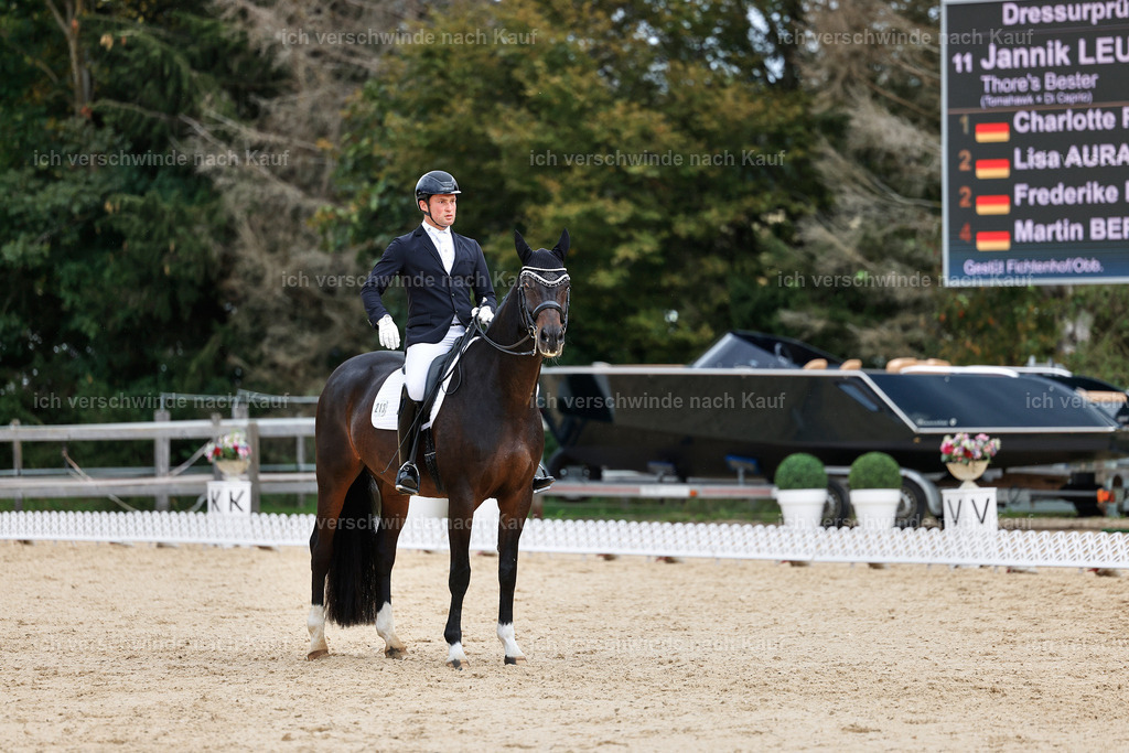 3-213-Dressur M_-StoibPH-2491 | working equitationturnier fotograf videograf stoibphotography marixx film working equitation deutschland reitsport turnierfotografie eventfotografie equestrian events