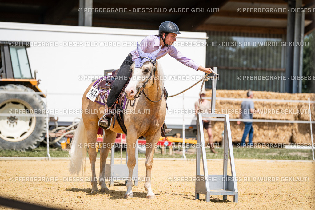 DSC01155 | Pferdegrafie