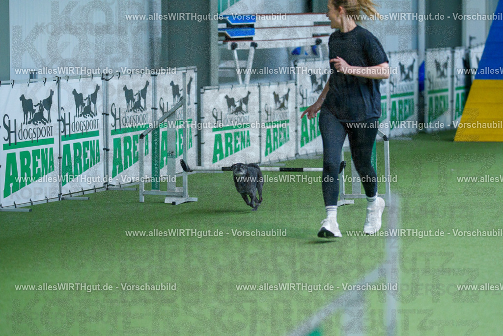 @allesWIRTHgut_Tierfotografie - www.allesWIRTHgut.de - 2604261001-7R508258 | Professionelle Tierfotografie in Mönchengladbach von Daniel Wirth (allesWIRTHgut). Liebevolle & natürliche Bilder von Hunden & Katzen für unvergessliche Erinnerungen.