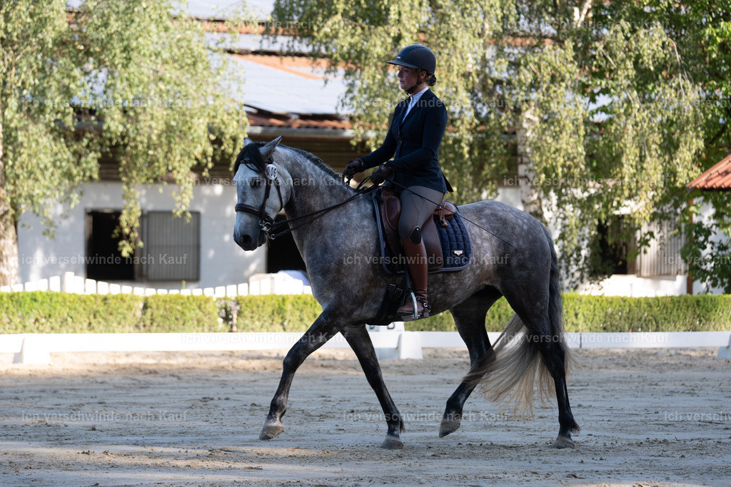 WL_DR_6_sinafilmart_IN05828 | working equitationturnier fotograf videograf stoibphotography marixx film working equitation deutschland reitsport turnierfotografie eventfotografie equestrian events